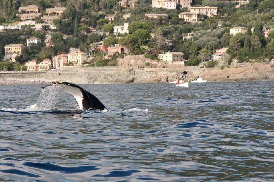 فيلا Casa Vacanza Angela بوناسولا المظهر الخارجي الصورة